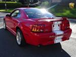 Ford Mustang SVT Cobra Coupe 1999 года